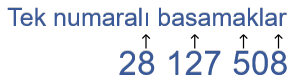 Tek numaralı basamaklar