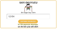 Sayı Okuyucu