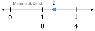 Birim kesir testi sayı doğrusu