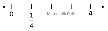 Birim kesir ve sayı doğrusu test