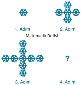 Şekil Örüntüsü Test Kar Tanesi Sorusu