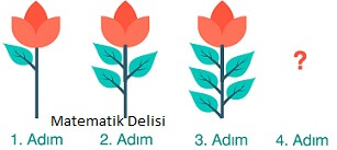Şekil Örüntüsü Test Çiçek Sorusu