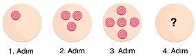 Şekil Örüntüsü Test Benek Sorusu