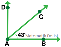 Dik açı test sorusu