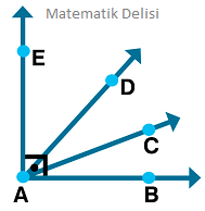 Işınlar arası açı Test