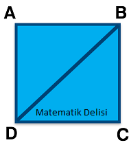 Karenin köşegeni test