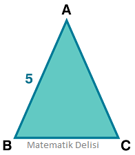 Çeşitkenar üçgen sorusu test