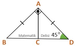 Dik üçgen test