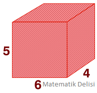 Dikdörtgenler prizması alan sorusu