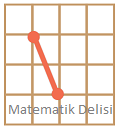 Doğru parçasının boyu kaç birim test-d