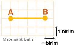 Doğru parçasının boyu test