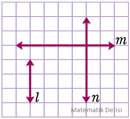 Kesisen ve paralel doğrular test