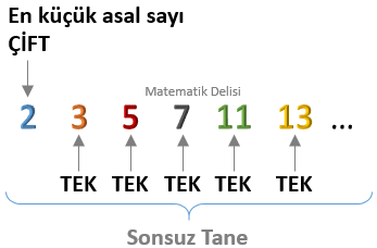 Asal Sayıların Özellikleri