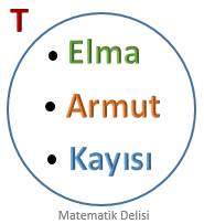 Venn Şeması Alıştırma-2