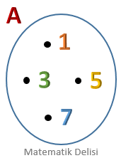 Venn Şeması