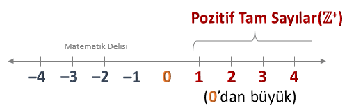Pozitif Sayılar Sıfırdan Büyük