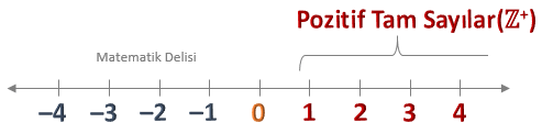 Pozitif Tam Sayılar