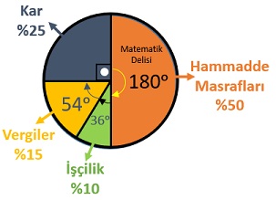 Daire Grafiği Şirket