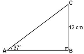 2015-2016 üçgen sorusu
