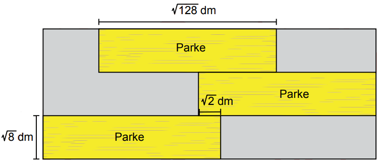 Parke sorusu-lgs