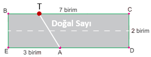 Tabela sorusunun çözümü 1-lgs 2024