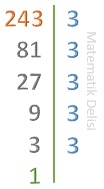 243'ün bölen listesi