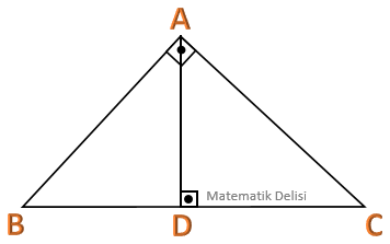 Benzer dik üçgenler