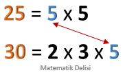 25 ile 30'un ortak asal çarpanları