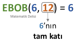 Tam katının ebobu