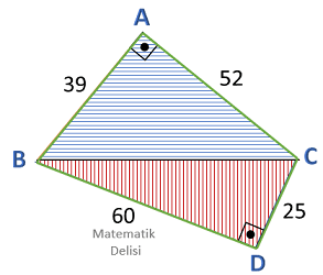 Dik üçgenin alanı ile ilgili örnek