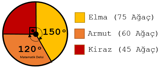Elma armut daire grafiği